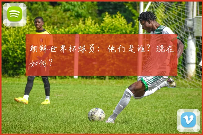 朝鲜世界杯球员：他们是谁？现在如何？